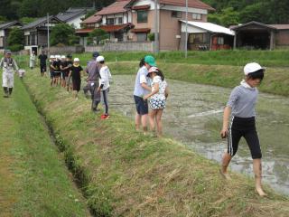 IMG_2262.JPG