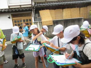 IMG_2533.JPG