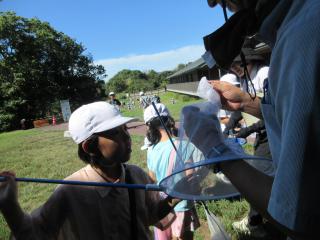 IMG_2655.JPG