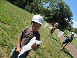 IMG_2661.JPG