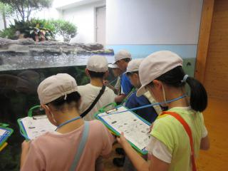 IMG_2710.JPG