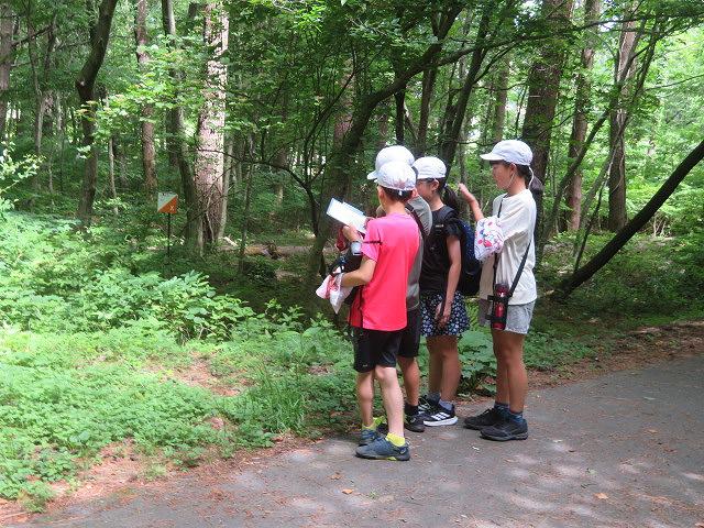 IMG_2920.jpg