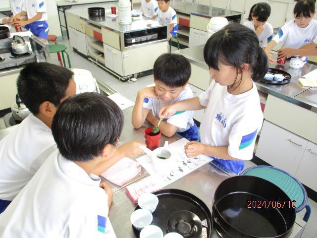 IMG_6395.jpg