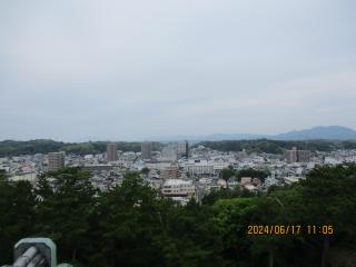 IMG_3379.JPG