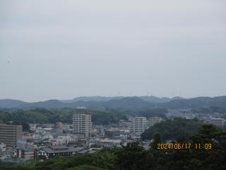 IMG_3387.JPG