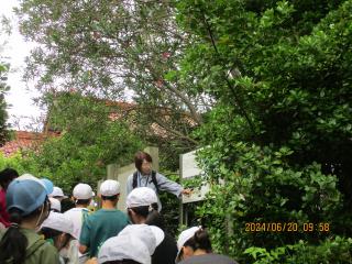 IMG_3471.JPG