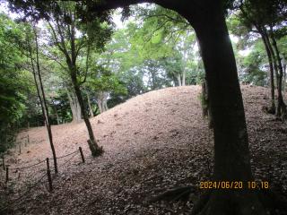 IMG_3489.JPG