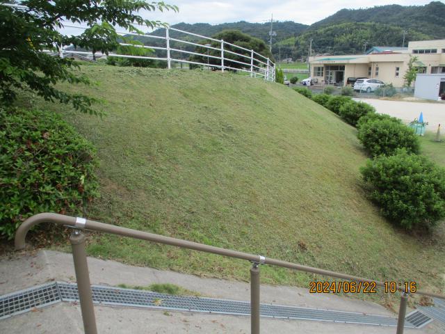 IMG_3580.JPG