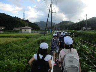 IMG_4087.JPG
