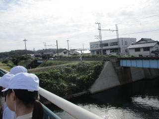 IMG_4586.JPG