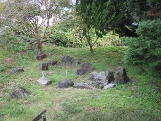 IMG_4591.JPG