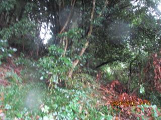 IMG_4752.JPG