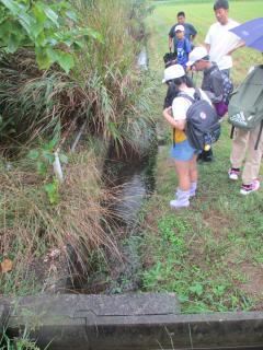IMG_4764.JPG