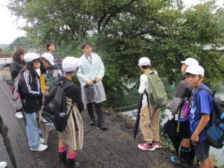 IMG_4773.JPG