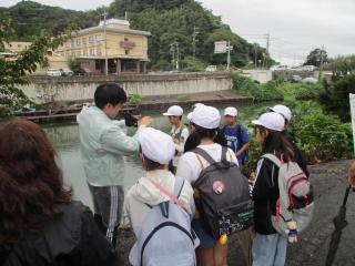 IMG_4775.JPG