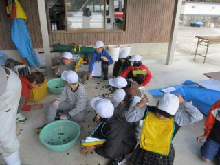 IMG_4928.JPG