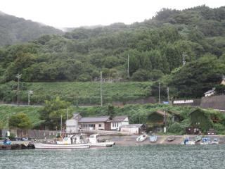 IMG_5304.JPG