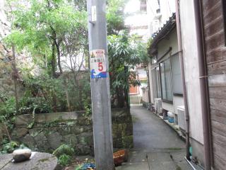 IMG_5328.JPG