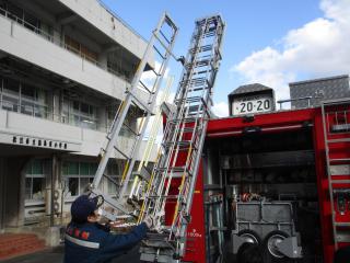 IMG_5877.JPG