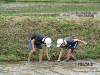 IMG_6235.JPG
