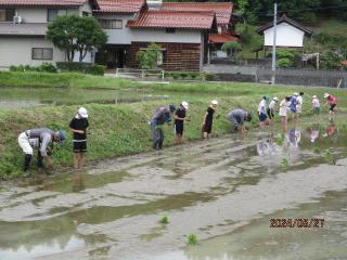 IMG_6237.JPG