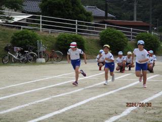 IMG_6261.JPG
