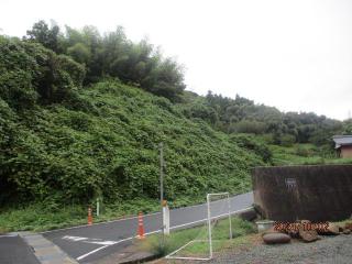 IMG_7090.JPG