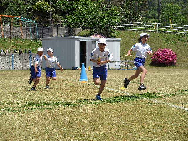 IMG_8291.jpg