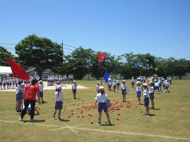 IMG_8455.jpg