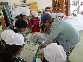 IMG_9892.jpg