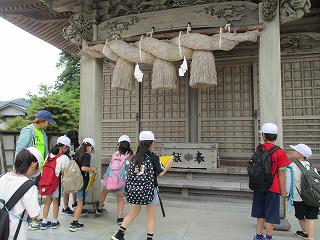 IMG_9906.jpg