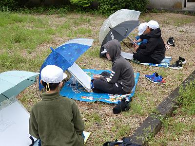 P1000747.jpg