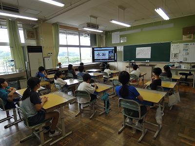 P1050520.jpg