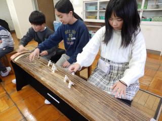 P1150015 (2).JPG