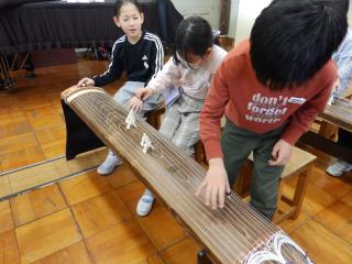 P1150017 (2).JPG