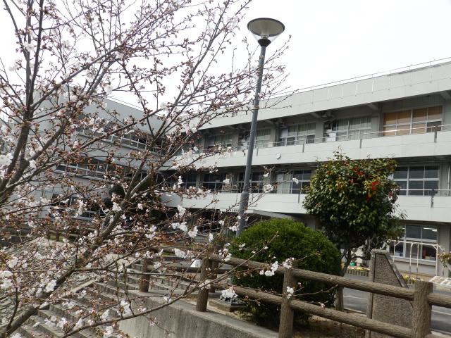 P4020001.JPG