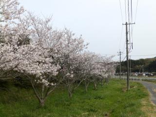 P4020010.JPG