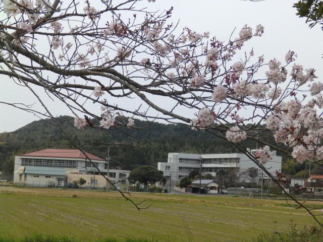 P4020014.JPG