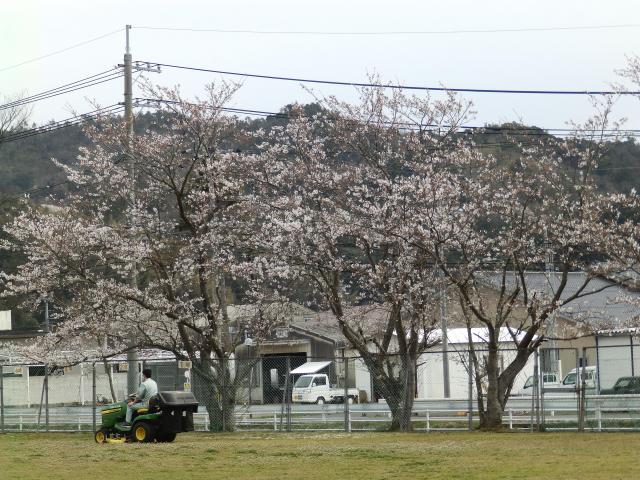 P4020027.JPG