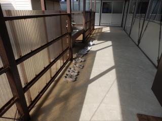 P4110007.JPG
