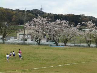 P4110037.JPG
