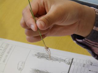 P5100004.JPG