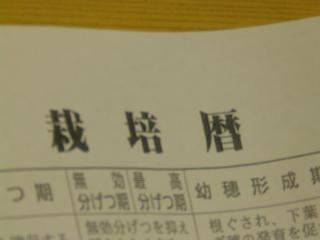 P5100005.JPG