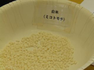 P5100007.JPG
