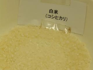 P5100008.JPG