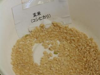 P5100009.JPG