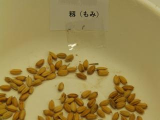 P5100010.JPG