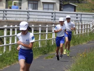 P5150051.JPG