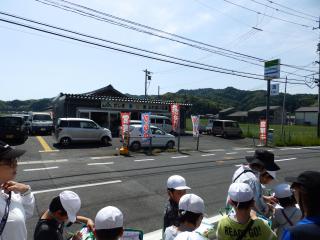 P5200009.JPG