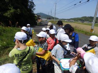 P5200031.JPG